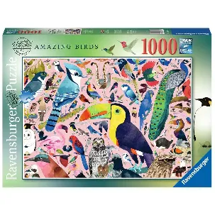 Afbeelding van Puzzel Ravensburger Iceland: Kirkjuffellsfoss (1000 Onderdelen)