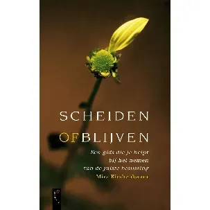 Afbeelding van Scheiden Of Blijven