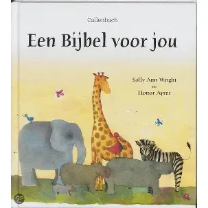 Afbeelding van Een bijbel voor jou