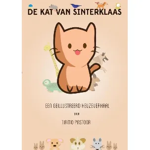 Afbeelding van De Kat van Sinterklaas