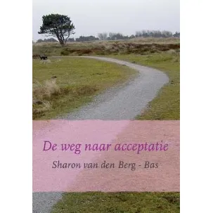 Afbeelding van De weg naar acceptatie