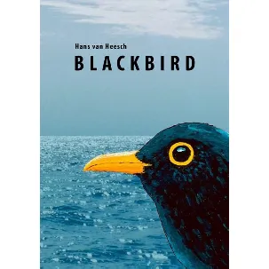 Afbeelding van Blackbird