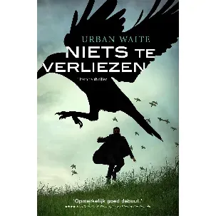 Afbeelding van Niets te verliezen