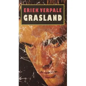 Afbeelding van Grasland