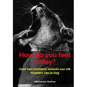 Afbeelding van How do you feel today?