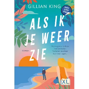 Afbeelding van Als ik je weer zie - Grote Letter Uitgave