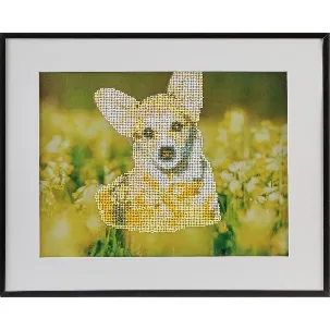 Afbeelding van Diamond painting | Hond| Afmeting: 40 x 50 CM | Inclusief diamond painting pen | Diamond painting volwassenen