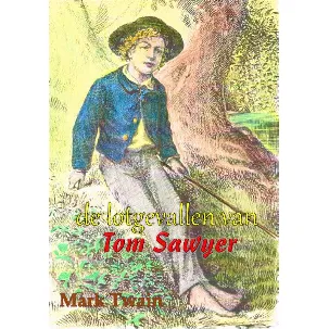 Afbeelding van De lotgevallen van Tom Sawyer