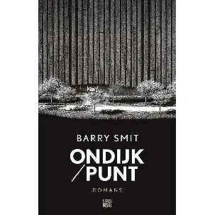 Afbeelding van Ondijk/Punt