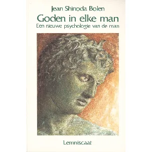 Afbeelding van Rainbow pocketboeken - Goden in elke man