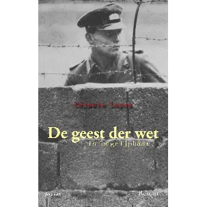 Afbeelding van De geest der wet