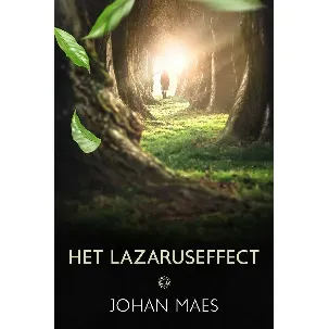 Afbeelding van Het Lazaruseffect