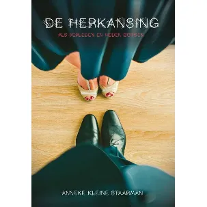 Afbeelding van De herkansing