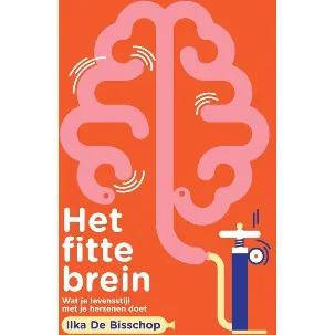 Afbeelding van Het fitte brein