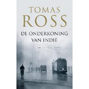 Afbeelding van De onderkoning van Indië