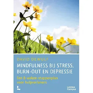 Afbeelding van Mindfulness bij stress, burn-out en depressie