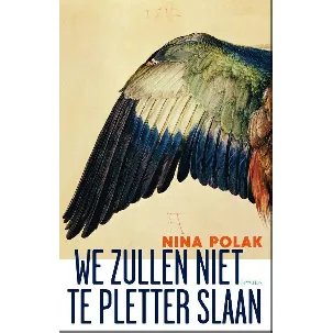 Afbeelding van We zullen niet te pletter slaan