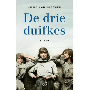 Afbeelding van De drie duifkes