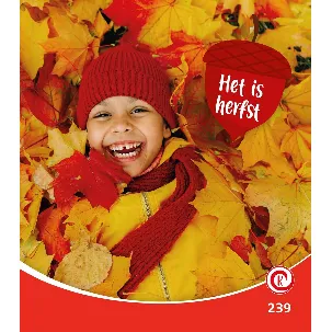 Afbeelding van Kijkdoos 239 - Het is herfst