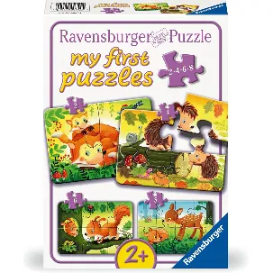 Afbeelding van Ravensburger puzzel Forest Animals - Legpuzzel - 2, 4, 6, 8 stukjes