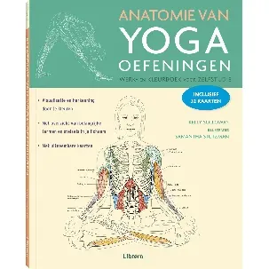 Afbeelding van Anatomie van yoga oefeningen werk- en kleurboek