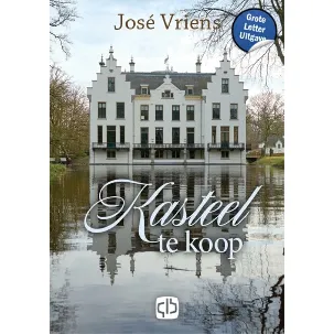 Afbeelding van Kasteel te koop