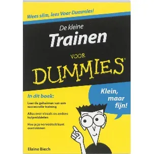 Afbeelding van De Kleine Trainen Voor Dummies