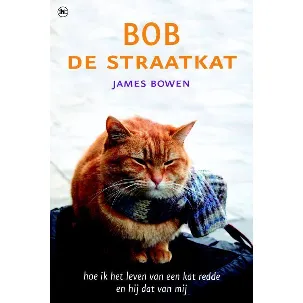 Afbeelding van Bob de straatkat