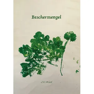 Afbeelding van Beschermengel