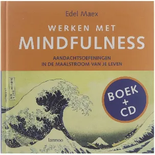 Afbeelding van Werken met Mindfulness