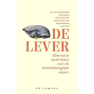 Afbeelding van De lever