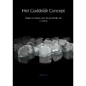 Afbeelding van Het Goddelijk Concept