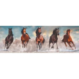 Afbeelding van Clementoni - Puzzel 1000 Stukjes High Quality Collection - Horses Puzzel Voor Volwassenen en Kinderen, 14-99 jaar, 39607