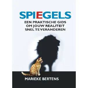 Afbeelding van Spiegels