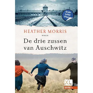 Afbeelding van De drie zussen van Auschwitz - Grote Letter Uitgave (in 2 banden)