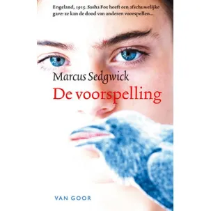 Afbeelding van de voorspelling