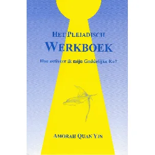 Afbeelding van Het Pleiadisch werkboek