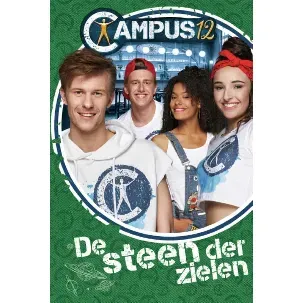 Afbeelding van Boek Campus 12 De steen der zielen (9%) (BOCA12000100)