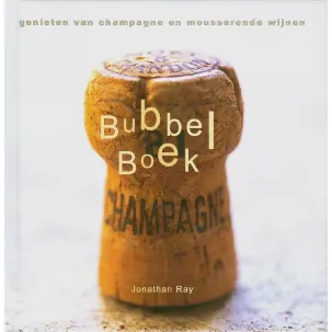 Afbeelding van Bubbelboek